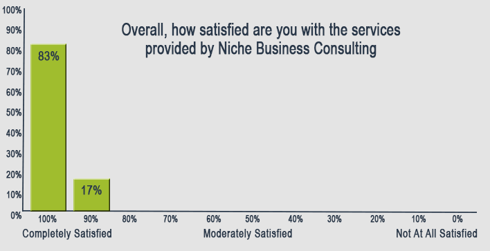 Niche Business Consulting Customer Service Ratings